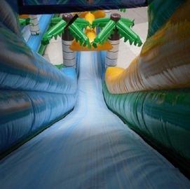 20m Tropical Massive Giant Inflatable Water Slide Green Z palmami