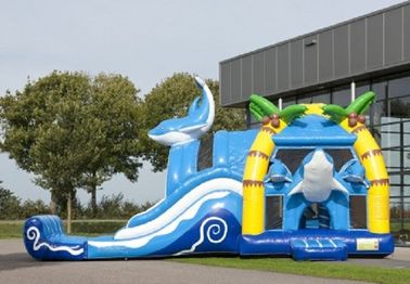 2 w 1 Dolphin Big Bouncy Castles Inflatable With Wacky Dual Slide For Amucement