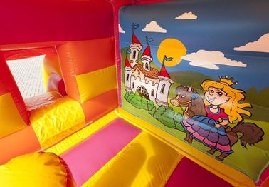 Comercial Inflatable Combo With Mini Dry Slide / Princess Drukuj Moonwalk Bounce House