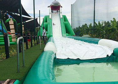 Hippo Gigantyczna dmuchana zjeżdżalnia dla dorosłych, zjeżdżalnia komercyjna Zjeżdżalnia wodna i zjeżdżalnia z basenem