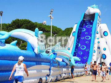 Blue Animal Giant Dolphin Inflatable Water Slide Adult Size Huge Inflatable Slide