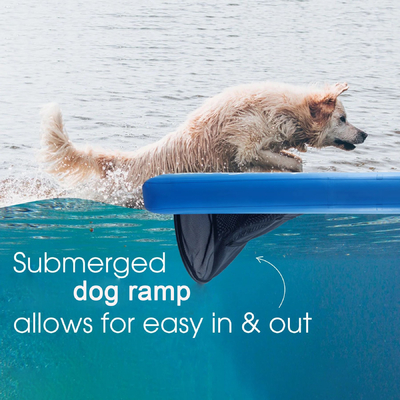Drobny mały pies pływająca drabina pływająca drabina dla psów psie zwierzęta wychodzą z wody