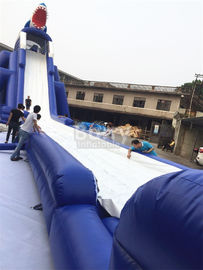 Komercyjny gigantyczny, długi, dmuchany zjeżdżalnią typu S Slide dla dzieci / dorosłych Aqua Park