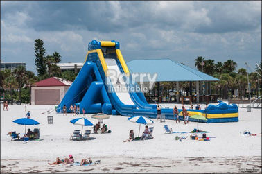 Outdoor Commercial Giant Adults Inflatable Hippo Zjeżdżalnia wodna na plażę z dmuchawy
