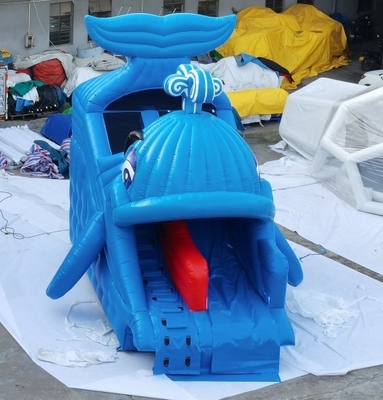 Komercyjne nadmuchiwane zjeżdżalnie wodne Whale Design Home Backyard