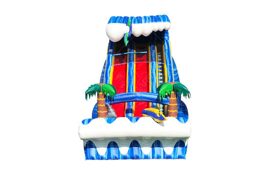 Komercyjny wielki podwórko zewnętrzne 24 stóp rekina widzialny podwójny zjazd dla dzieci i dorosłych