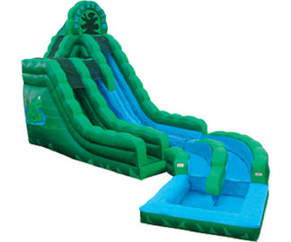 Emerald Green Frog Fun Zjeżdżalnie wodne, nadmuchiwane Double Rush Slip Wet Slide