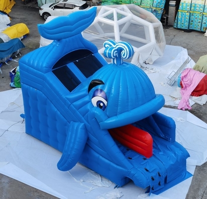 Komercyjne nadmuchiwane zjeżdżalnie wodne Whale Design Home Backyard